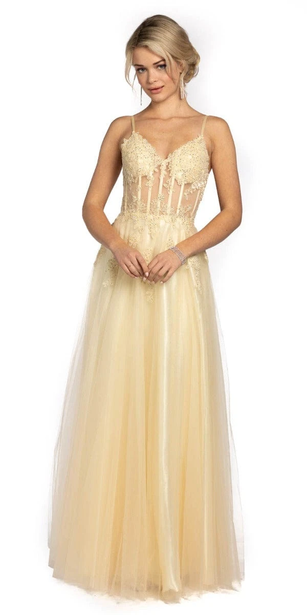 Tulle Plunge Corset A Line Dress