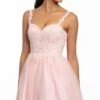Glitter Tulle Embellish Applique Fit And Flare Dress