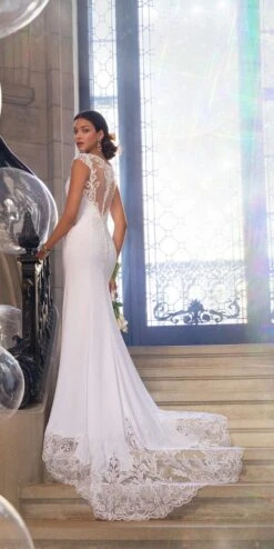 Embroidered Illusion Cap Sleeve Crepe Trumpet Dress